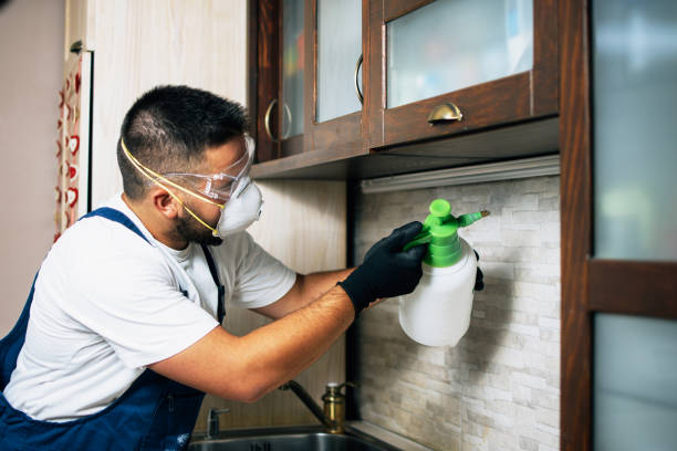 Best Pest Prevention Services  in Cave City, AR