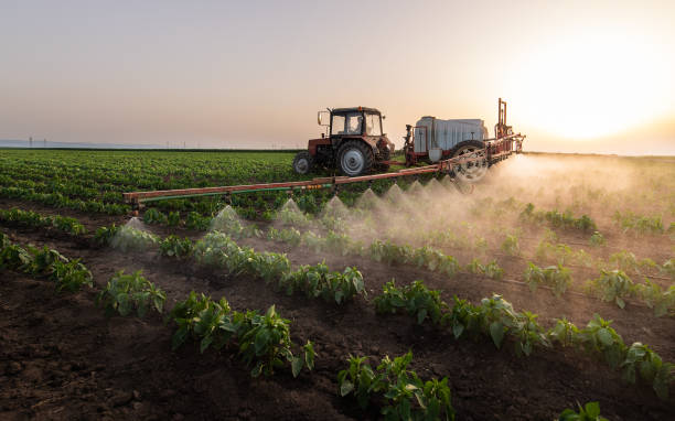 Best Mosquito Control Services  in Cave City, AR