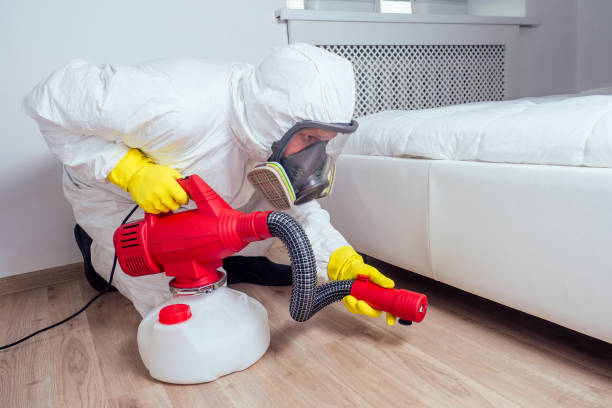 Best Best Pest Control Companies  in Cave City, AR