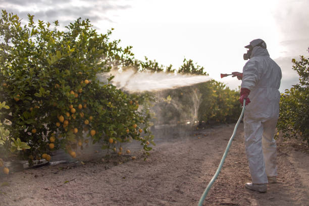 Best Pest Prevention Services  in Cave City, AR