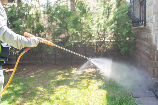Best Residential Pest Control  in Cave City, AR