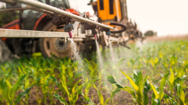 Best Ant Control Services  in Cave City, AR